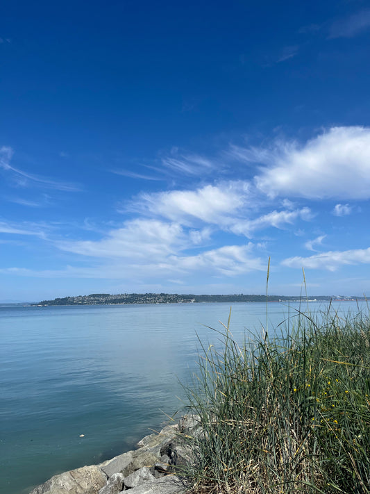 Summer Chaos, A Calming Moment