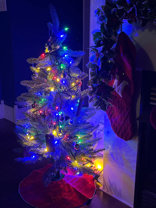 A Soft Pause for Christmas Week
