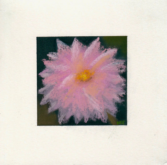 Dahlia Study no. 1 – Orignal Pastel Painting